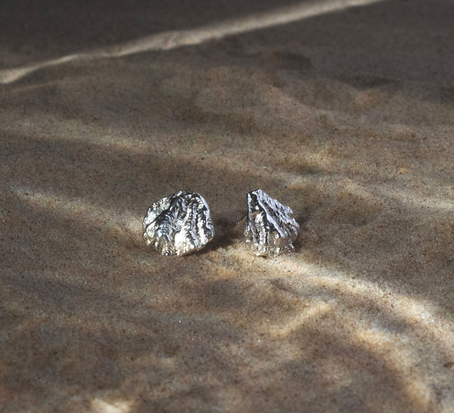 seashell piece No.1
