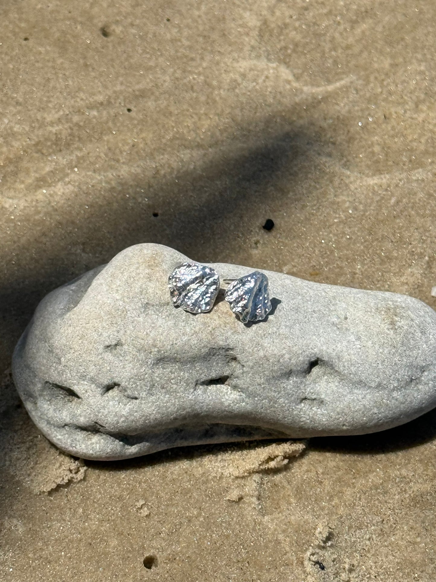 seashell piece No.1