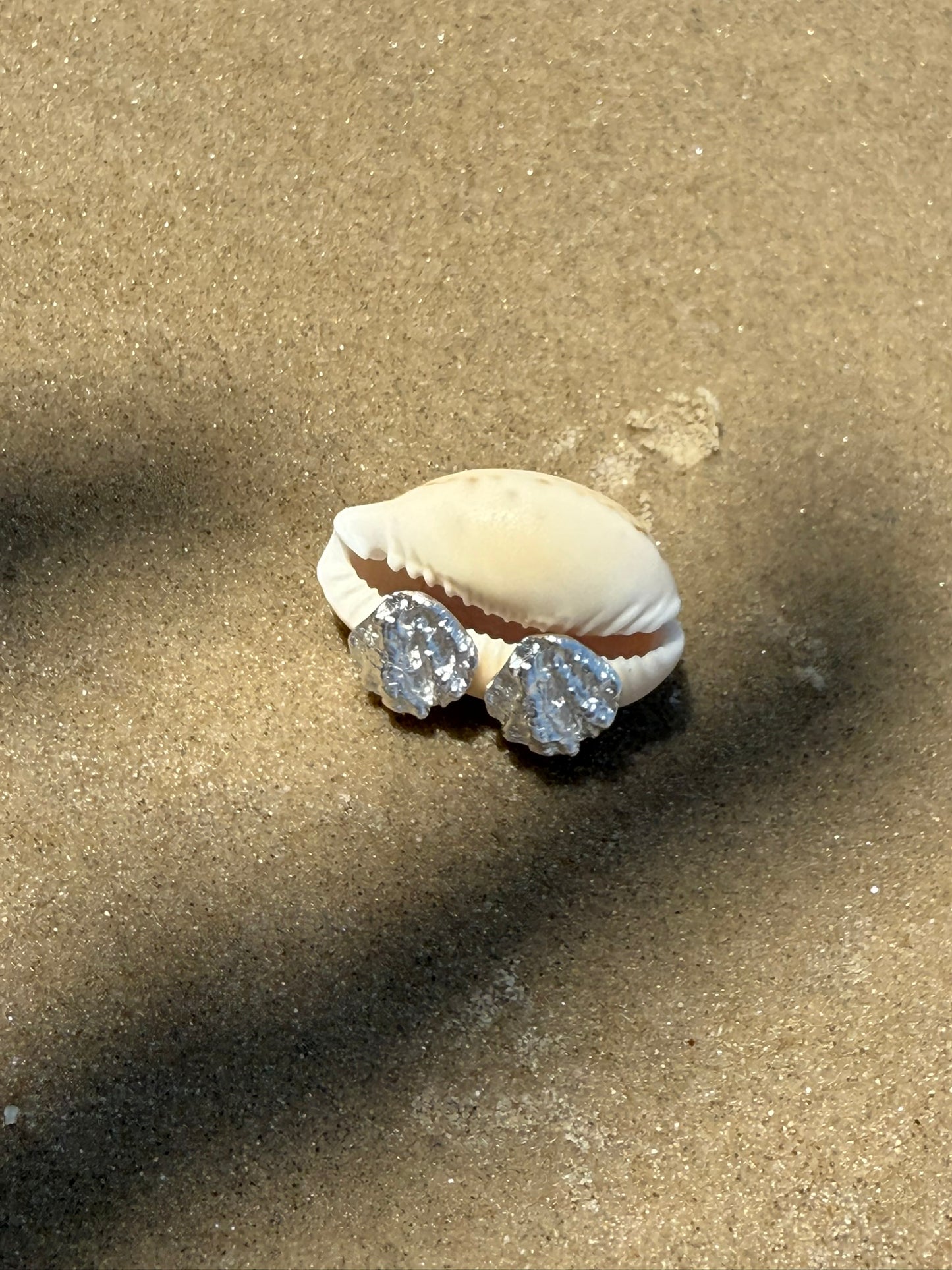 seashell piece No.1