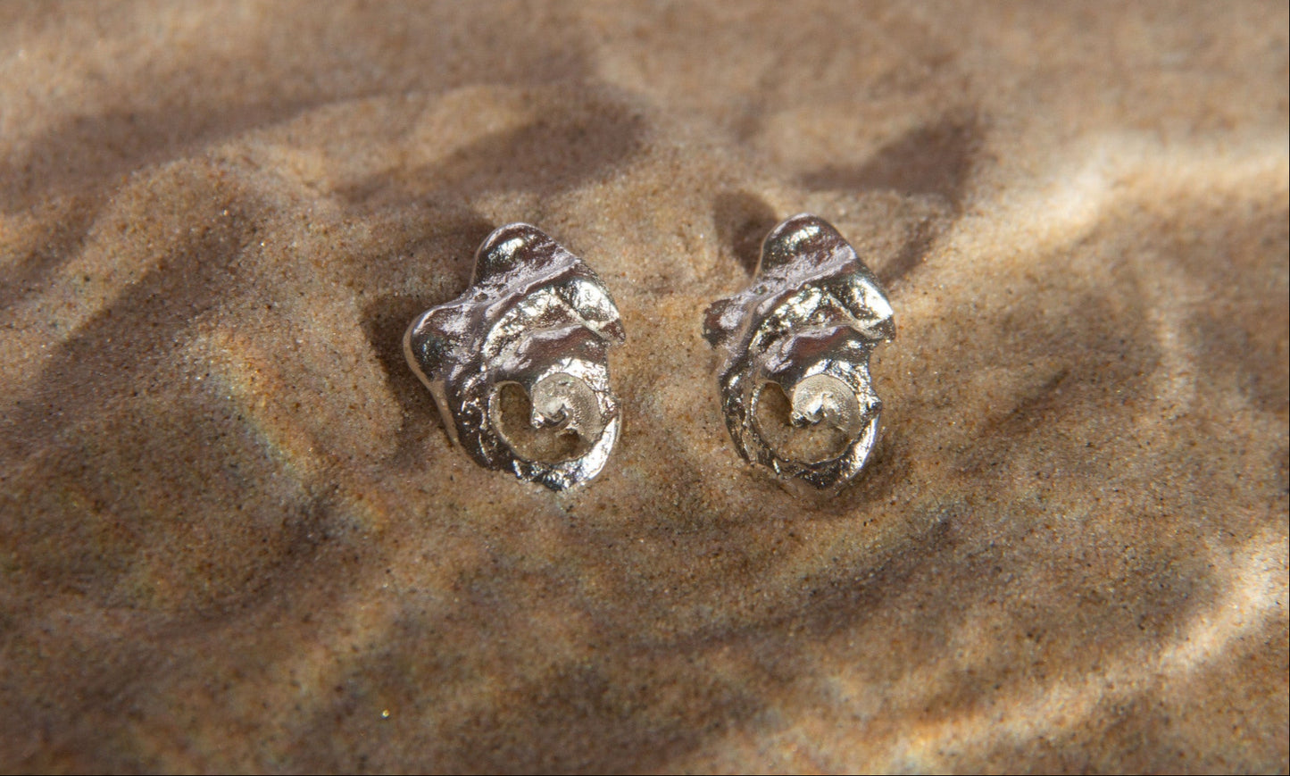Concha earrings