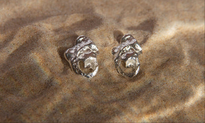 Concha earrings
