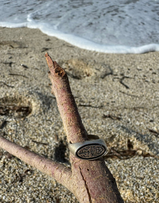 Sinesis ring